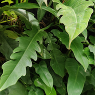 May Flowers Horticulture Installation 49